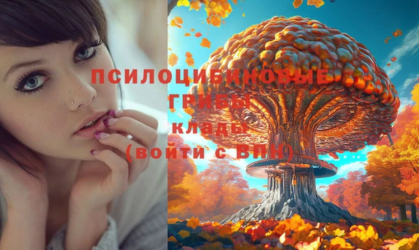 Альфа ПВП Лабытнанги