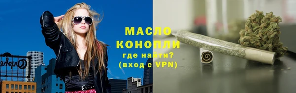 прущие грибы Тайга