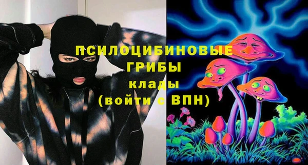 сатива Ладушкин