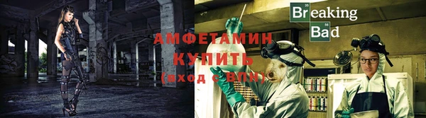 сатива Ладушкин