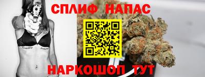 apvp Камышлов