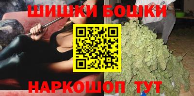 apvp Камышлов