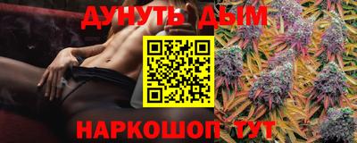 apvp Камышлов