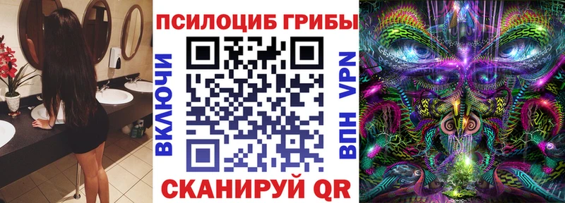 даркнет наркотические препараты  Ханты-Мансийск  Псилоцибиновые грибы Magic Shrooms  omg рабочий сайт 