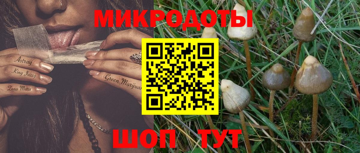 Псилоцибиновые грибы MAGIC MUSHROOMS Ханты-Мансийск